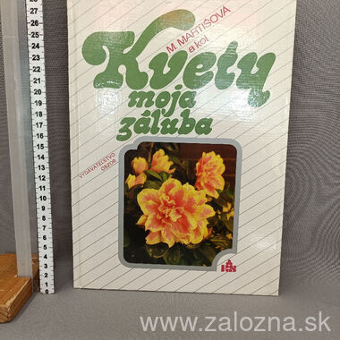 Kniha