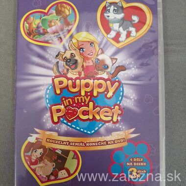 DVD nosič