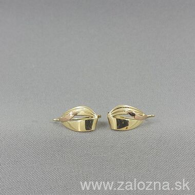 Dámske náušnice