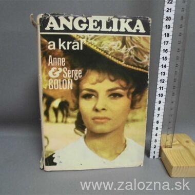 Kniha